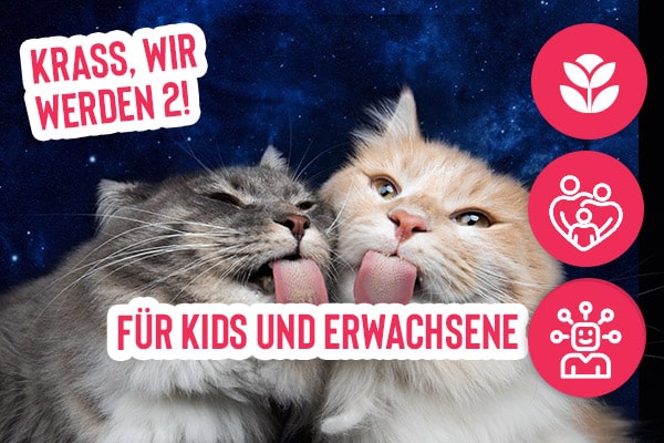 mint-geburtstagsparty